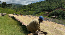 Load image into Gallery viewer, Matongo - Burundi (filter)