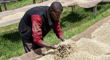 Load image into Gallery viewer, Matongo - Burundi (filter)