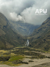 Load image into Gallery viewer, Tiburcio Yucra - Peru (filter)