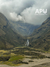 Load image into Gallery viewer, Tiburcio Yucra - Peru (filter)