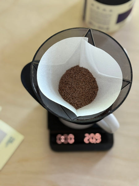 Why Freshly Ground Coffee Makes All the Difference