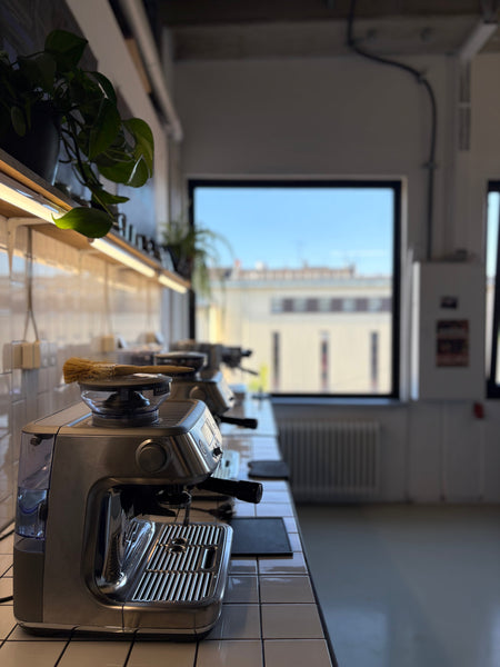 Specialty Coffee Glossary: 50 Essential Terms You Should Know