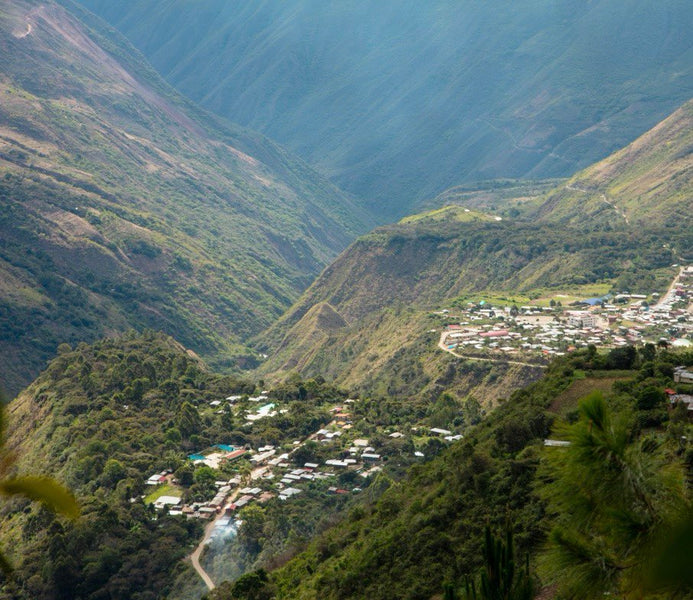 Altitude in Specialty Coffee: How Elevation Shapes Flavor, Quality, and Value