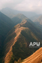 Load image into Gallery viewer, Tiburcio Yucra - Peru (filter)
