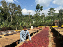 Load image into Gallery viewer, Tamirat Dukale - Ethiopia (espresso)

